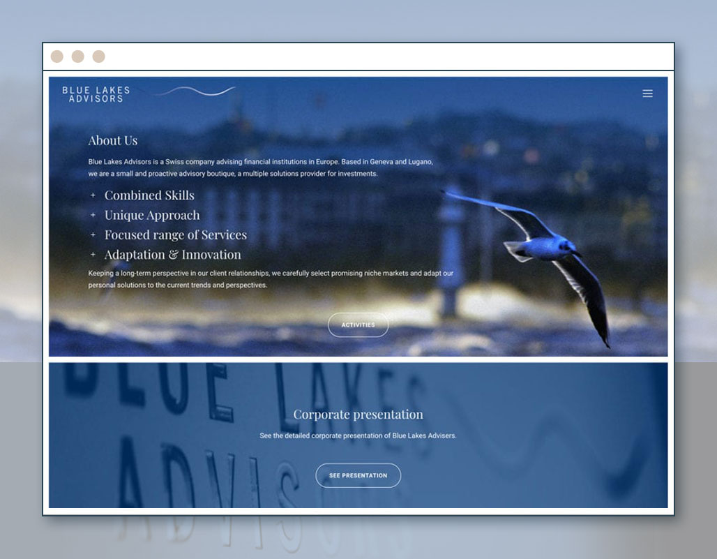 etche-webdesign-blue-lakes-advisors