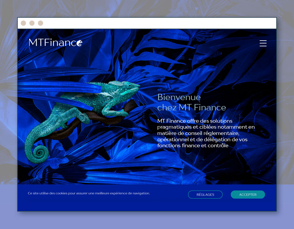 etche-webdesign-mt-finance